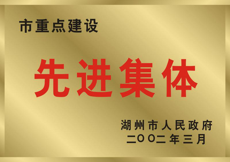 2001年度湖州市重點建設(shè)先進集體